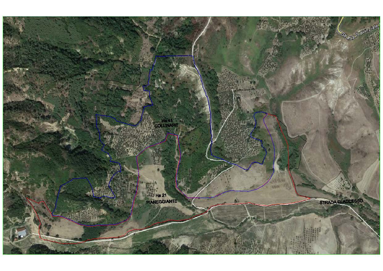 Terreno agricolo di grande estensione