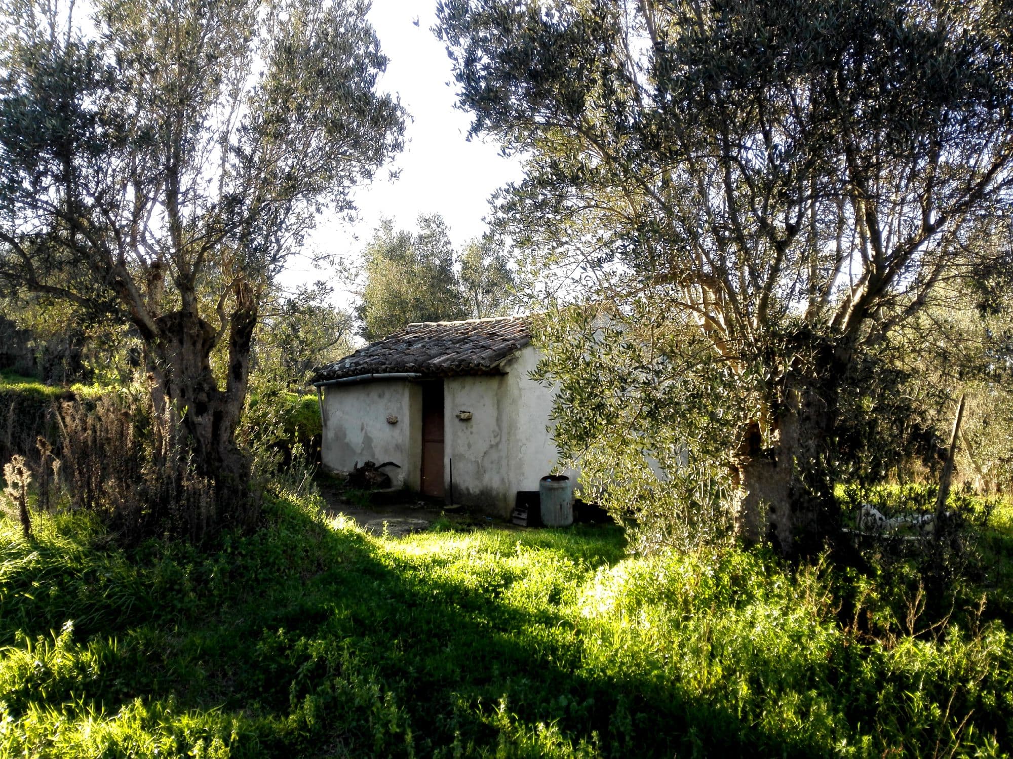Casa in campagna con terreno agricolo