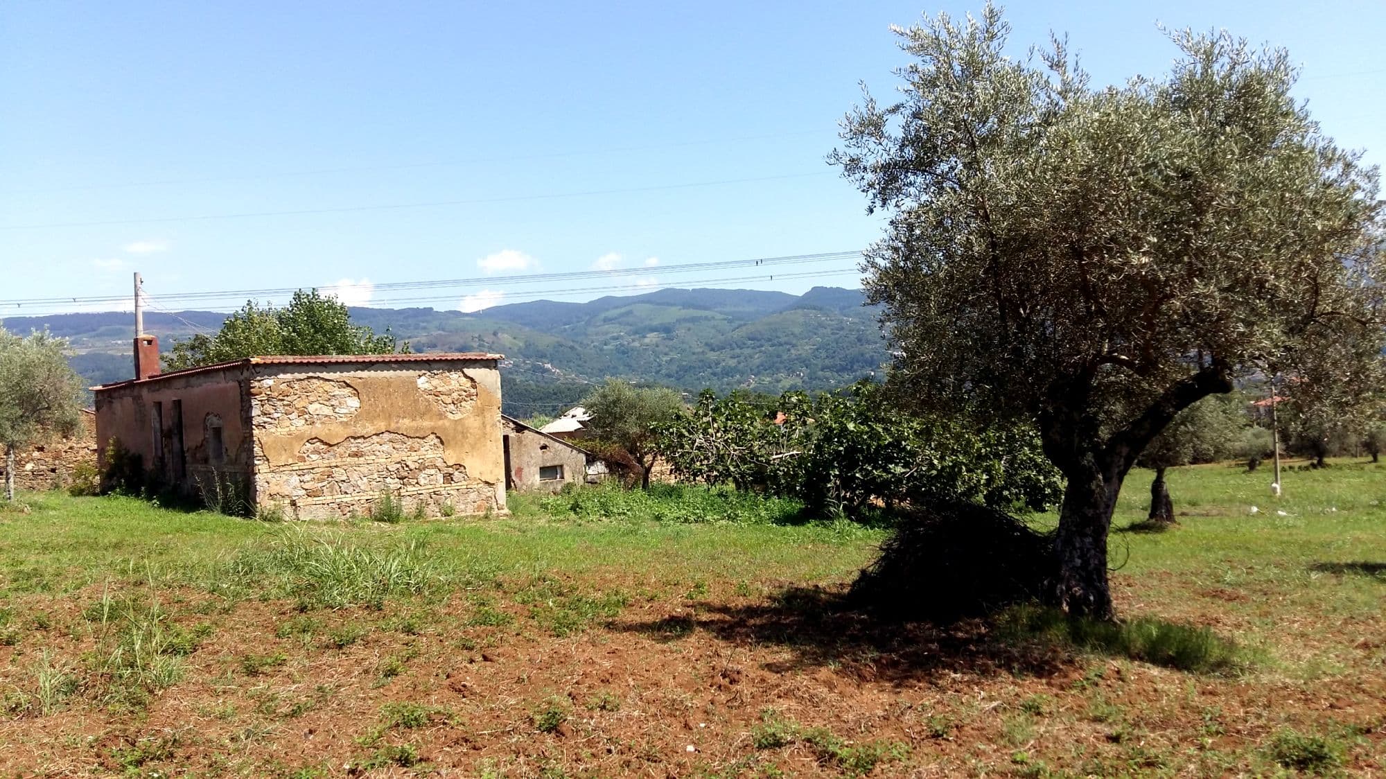 Terreno agricolo